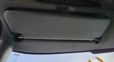 International TerraStar Sun Visor