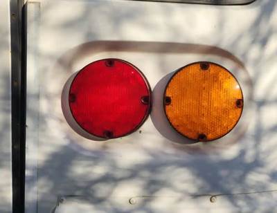 Blue Bird Tail Light