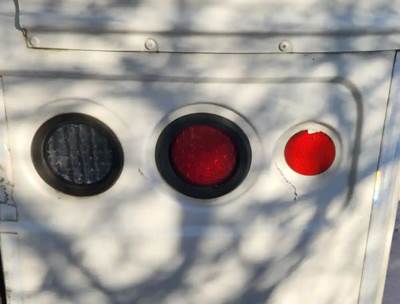 Blue Bird Tail Light