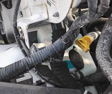 Ford F-650 Windshield Washer Reservoir