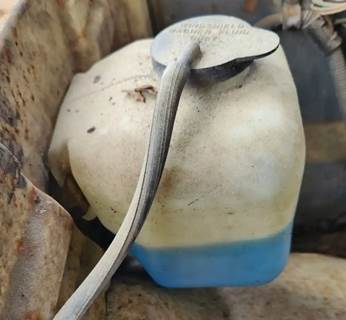 GMC C7000 Windshield Washer Reservoir