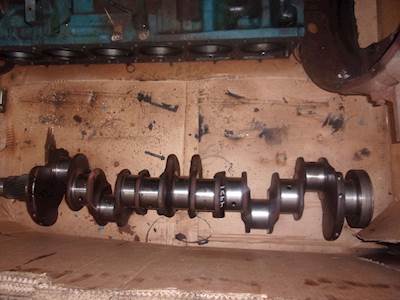 International DT466 Crankshaft for a 2003 International 3000IC