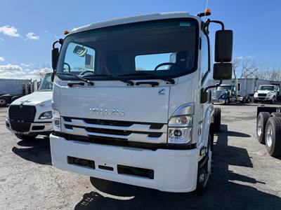 Isuzu FTR Cab & Chassis Truck