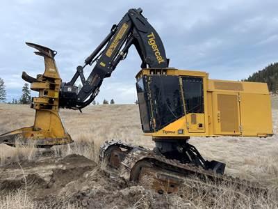 2019 Tigercat LX870D Feller Buncher