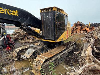 2019 Tigercat 855E Tracked Feller Buncher - Felling Head