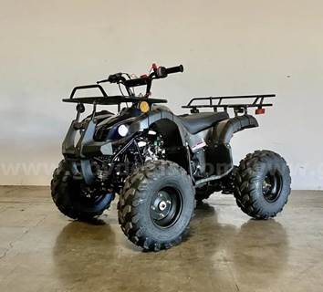FREE SHIPPING - NEW 2025 - 125cc Utility ATV – Automatic w/ Reverse – Mid-Size Quad