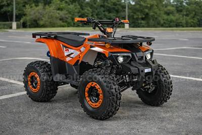 FREE SHIPPING - NEW 2025 - Four Wheeler 125cc - Factory Sealed