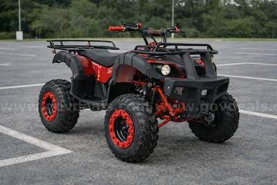 FREE SHIPPING - NEW 2026 200cc 4-Wheeler ATV Automatic DNR Transmission NEW