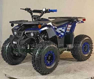 FREE SHIPPING 2025 ATV 125cc Factory Sealed