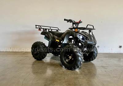 FREE SHIPPING - NEW 2025 - 125cc Utility ATV – Automatic w/ Reverse – Mid-Size Quad