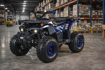 FREE SHIPPING - NEW 2025 - Four Wheeler 125cc - Factory Sealed