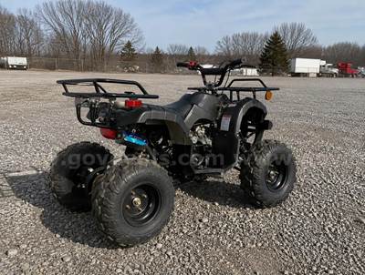 FREE SHIPPING - NEW 2025 - 125cc Utility ATV – Automatic w/ Reverse – Mid-Size Quad