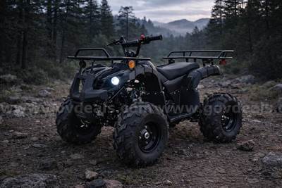 FREE SHIPPING - NEW 2025 - 125cc Utility ATV – Automatic w/ Reverse – Mid-Size Quad