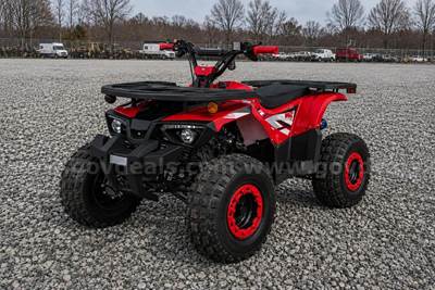 FREE SHIPPING - NEW 2025 - Four Wheeler 125cc - Factory Sealed