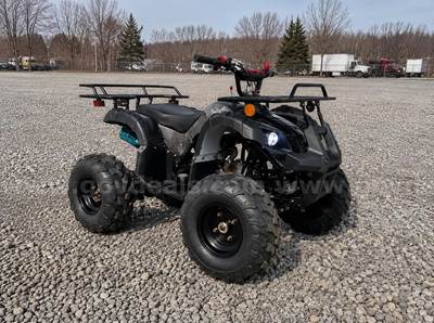 FREE SHIPPING - NEW 2025 - 125cc Utility ATV – Automatic w/ Reverse – Mid-Size Quad