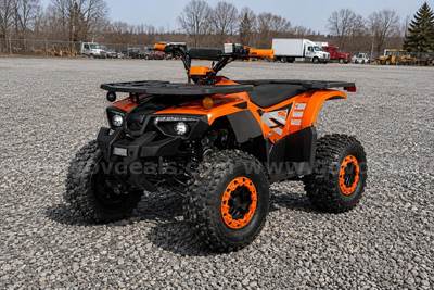 FREE SHIPPING - NEW 2025 - Four Wheeler 125cc - Factory Sealed