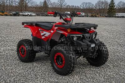 FREE SHIPPING - NEW 2025 - Four Wheeler 125cc - Factory Sealed