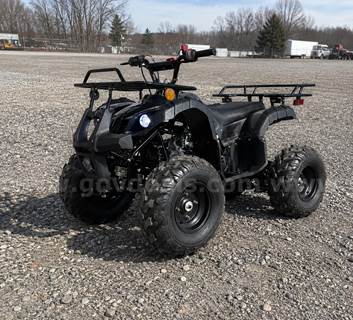 FREE SHIPPING - NEW 2025 - 125cc Utility ATV – Automatic w/ Reverse – Mid-Size Quad