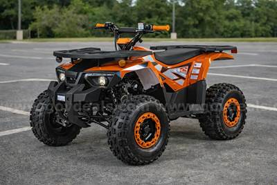 FREE SHIPPING - NEW 2025 - Four Wheeler 125cc - Factory Sealed