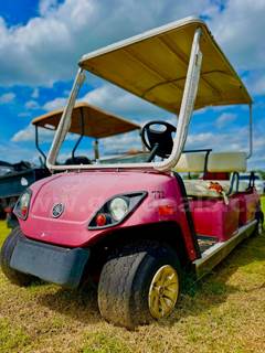 Yamaha Golf Cart