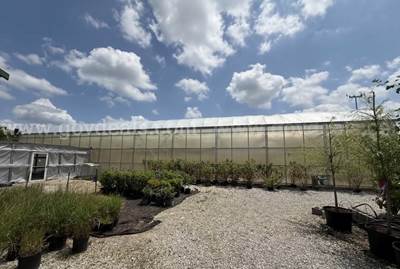 2000 Prospiant/Rough Brothers Commercial Greenhouse