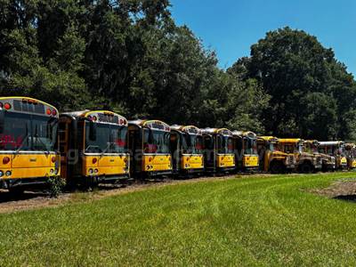 Lot of Junk/Scrap School Buses