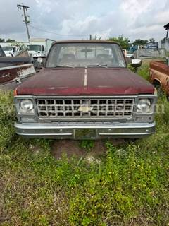 1980 Chevrolet C10 1/2 Ton