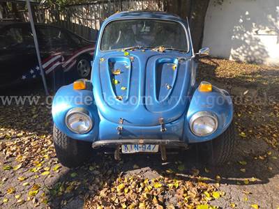 1970 Volkswagen Baja Bug