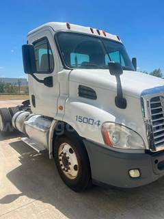2015 Freightliner Cascadia 113