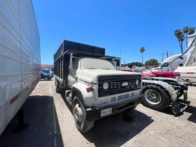 1984 GMC 6000 Dump Truck, (GAS ENGINE)