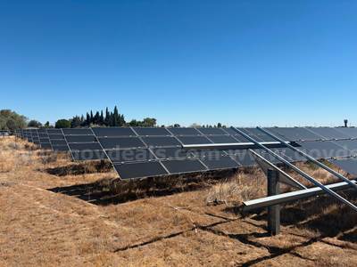 Large Lot of Solar Panels