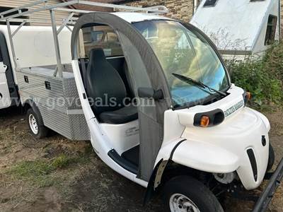 2014 GEM ES Electric Golf Cart