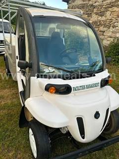 2014 GEM ES Electric Golf Cart