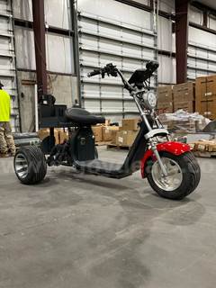 ELECTRIC GOLF SCOOTER MODEL HY18650MP 16S8P