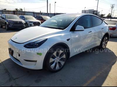 2023 Tesla Model Y