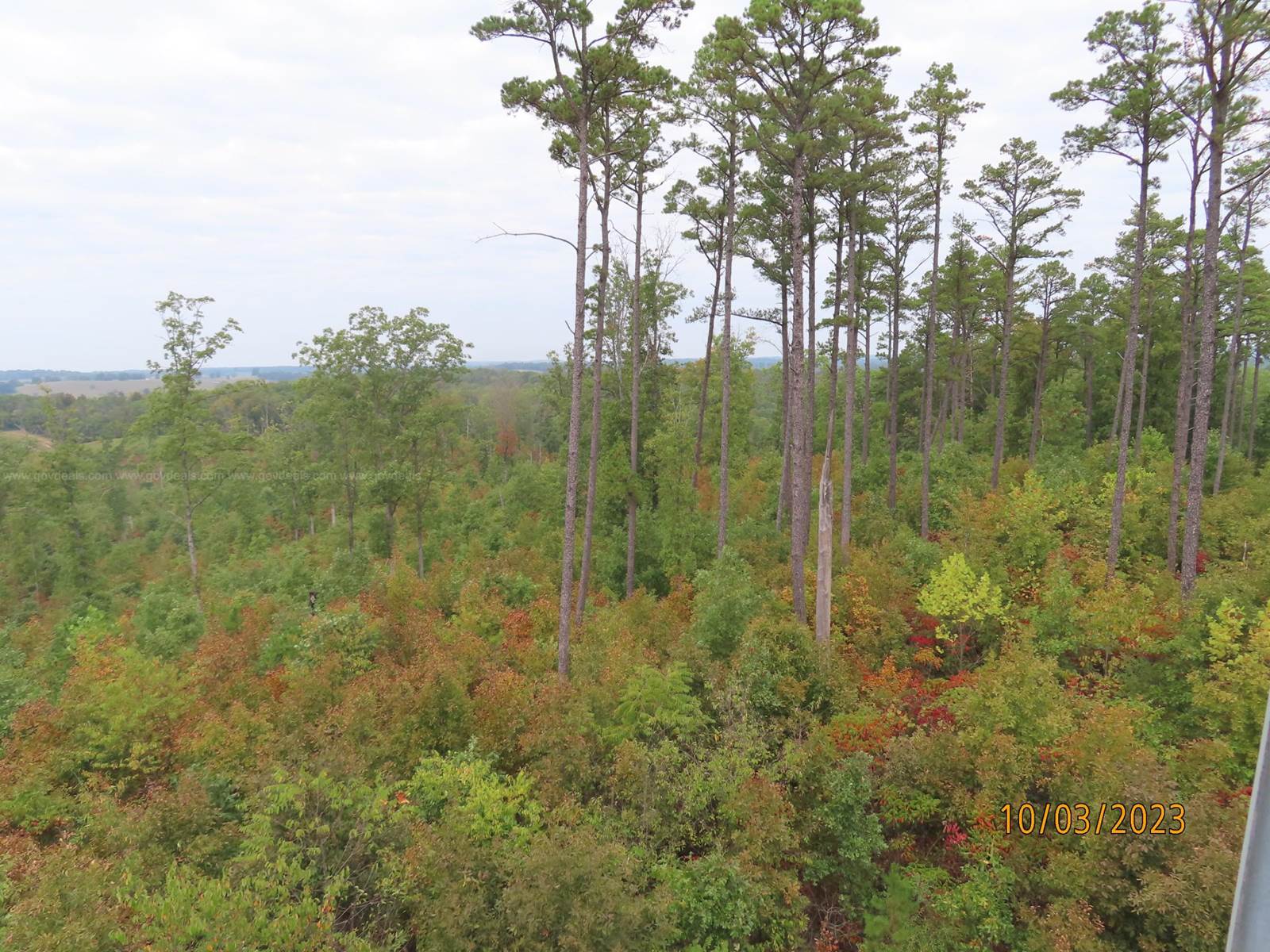 40 Acres of Wooded Land with Fire Tower in Shannon County, Missouri For