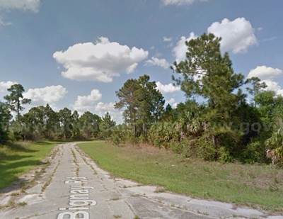 Residential Lots for Auction in Florida - Build Your Future!