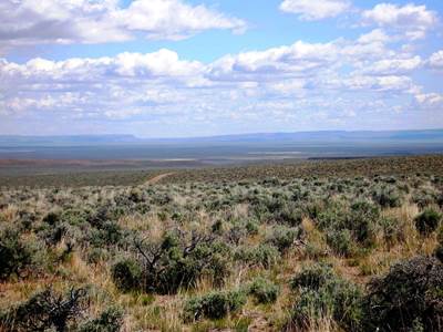 80 Acres of Oregon Outback with Wide Open Vistas