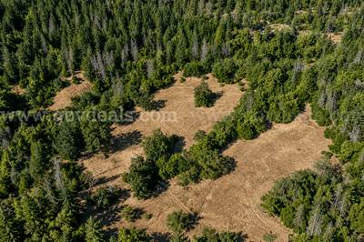 51 Acres of Private Ranch Land in Covelo, CA