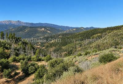 76.5 Acres in Horse Creek, CA – Private Retreat Bordering Klamath National Forest