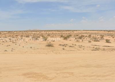 Own 20 Acres of Wide-Open Land in Lancaster, California