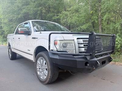 2014 Ford F-150 Platinum SuperCrew 5.5-ft. Bed 4WD