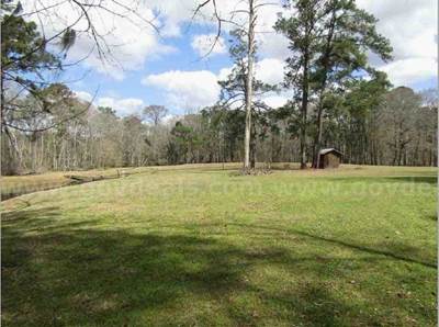 10.65 +/- Acres on S. Cedar Street in Springfield, GA 31329