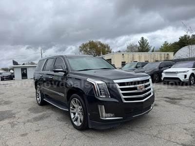 2019 Cadillac Escalade – Luxury Full-Size SUV
