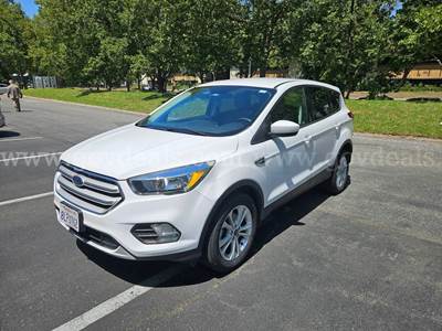 2019 Ford Escape