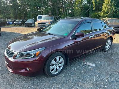 2010 Honda Accord EX-L V-6 Sedan AT