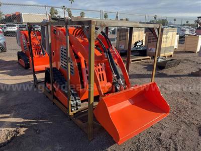 2025  TPM  TPM-T300  Mini Skid Steer Loader