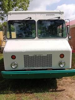 2008 Workhorse W42