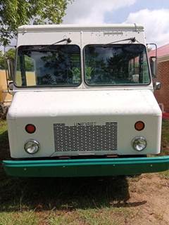 2008 Workhorse W42