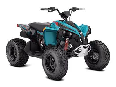 2025 Can-Am Renegade 110 EFI Iceburg Blue and Black